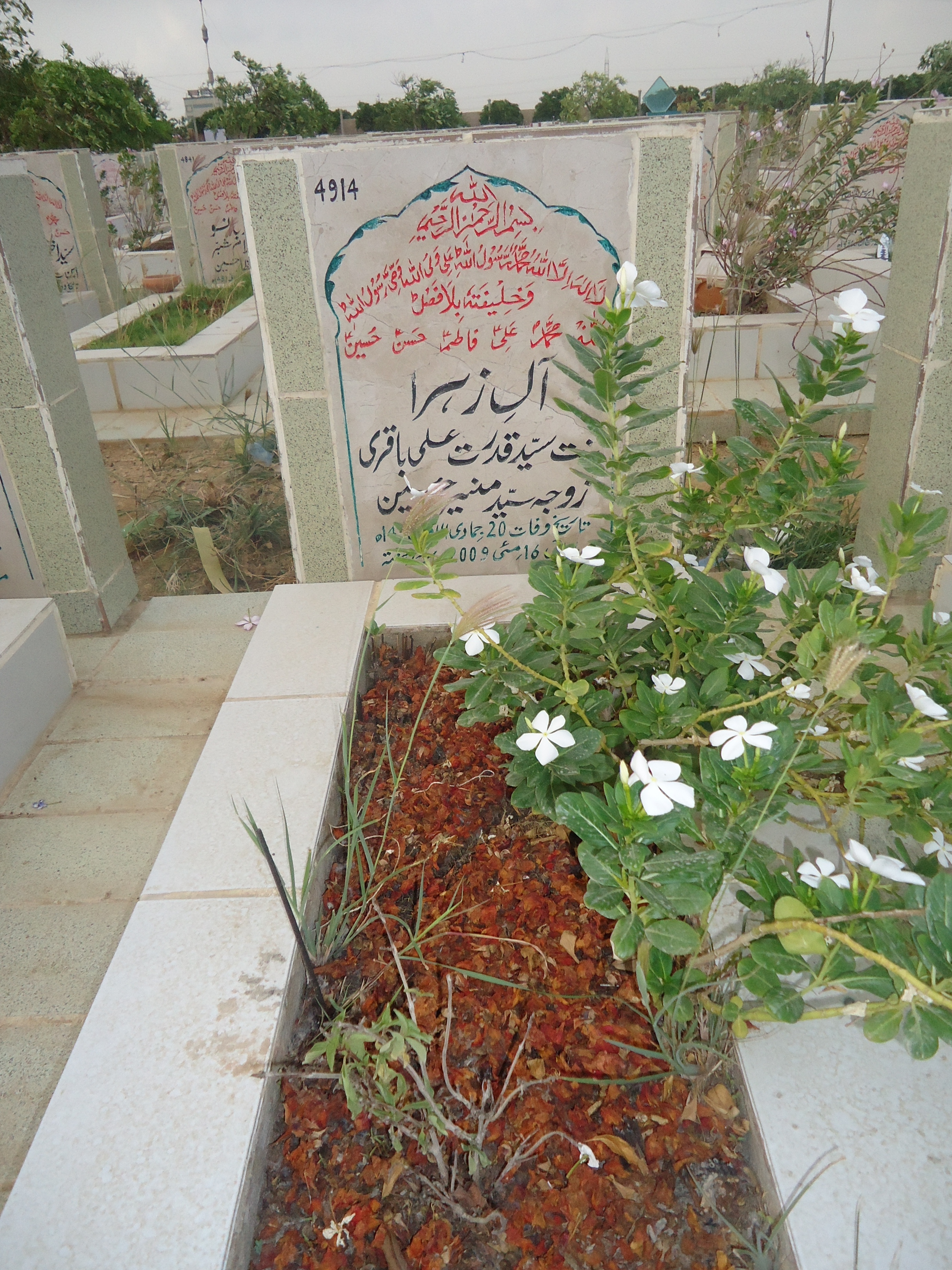 4914 – Aalay Zehra